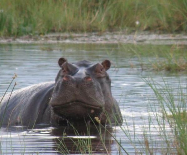 DU-NAMIB-AUX-CHUTES-VICTORIA-11-qqo0102k1o5u8i1b6hbvt3fvo5bbmiya1bnb5ngj24