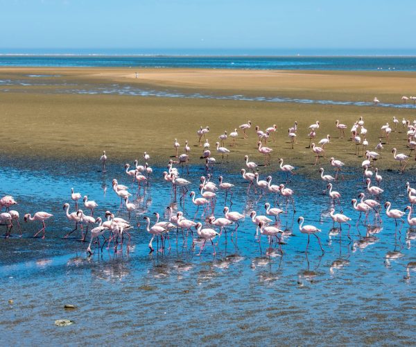 DU NAMIB AUX CHUTES VICTORIA VIA MAUN (2)