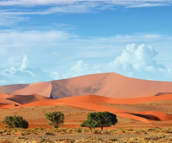 DU NAMIB AUX CHUTES VICTORIA VIA MAUN (6)