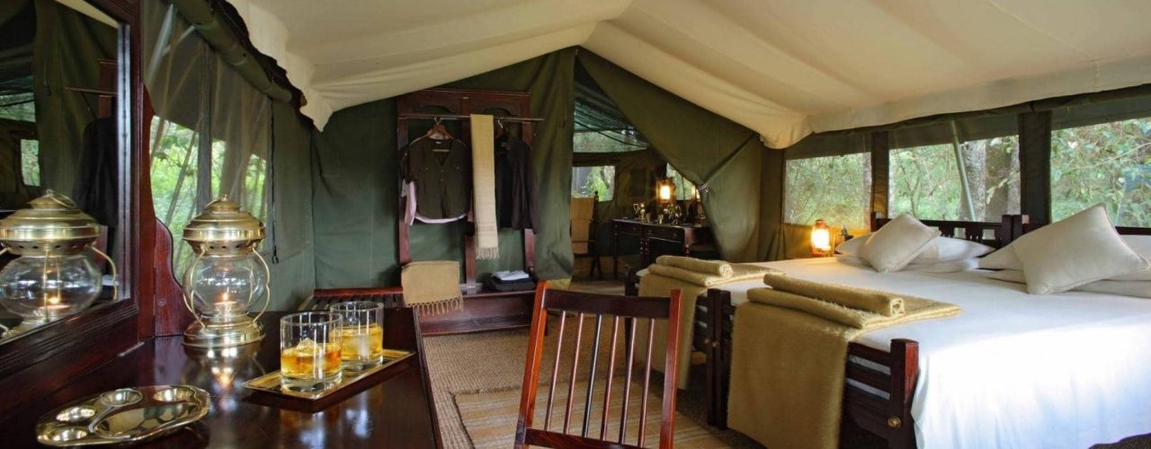 ELEPHANT-PEPPER-CAMP-2