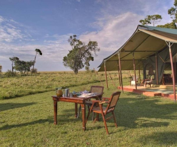 ELEPHANT-PEPPER-CAMP-3