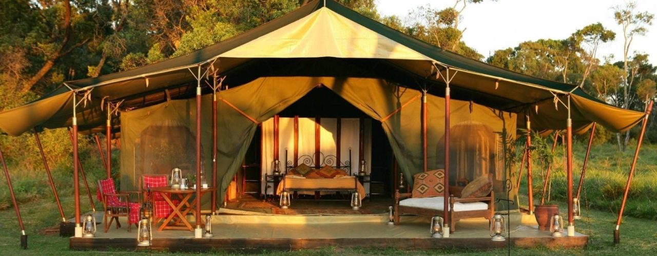 ELEPHANT-PEPPER-CAMP-5
