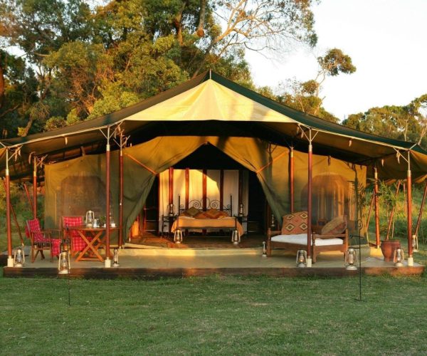 ELEPHANT-PEPPER-CAMP-5