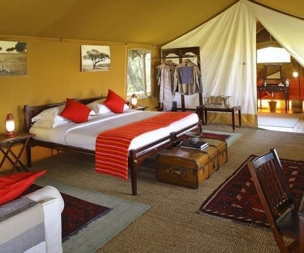 ELEPHANT-PEPPER-CAMP-7