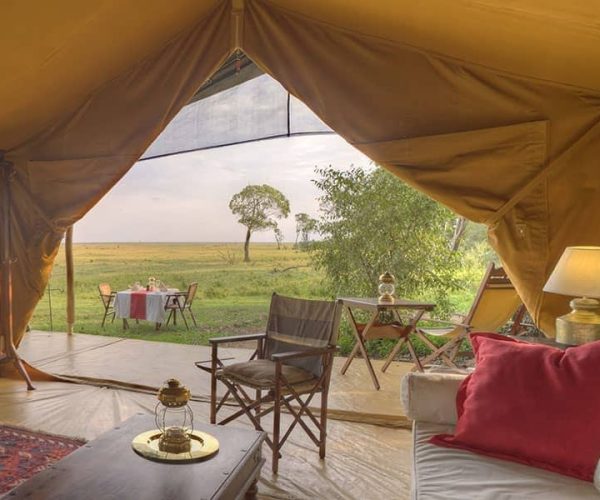 ELEPHANT-PEPPER-CAMP-8