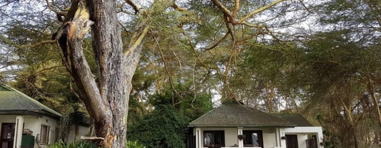 ELSAMERE CONSERVATION CENTER (10)