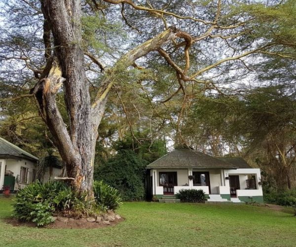 ELSAMERE-CONSERVATION-CENTER-10