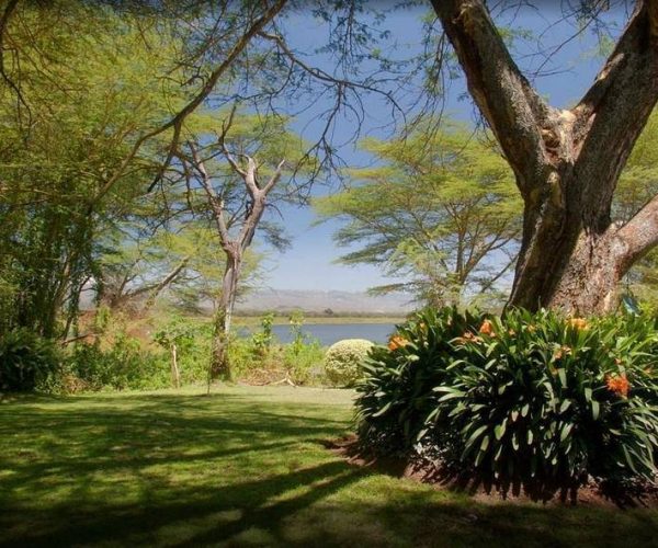 ELSAMERE-CONSERVATION-CENTER-6