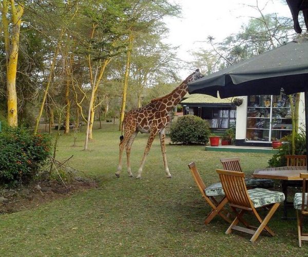 ELSAMERE-CONSERVATION-CENTER-7