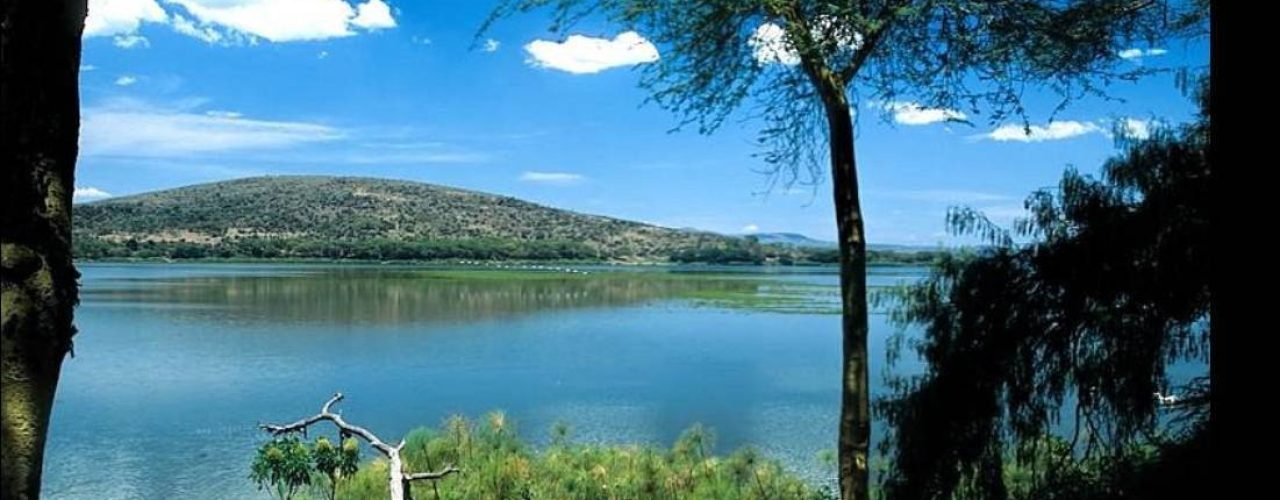 ELSAMERE CONSERVATION CENTER (8)