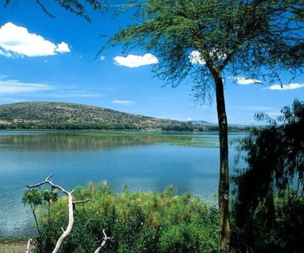 ELSAMERE-CONSERVATION-CENTER-8