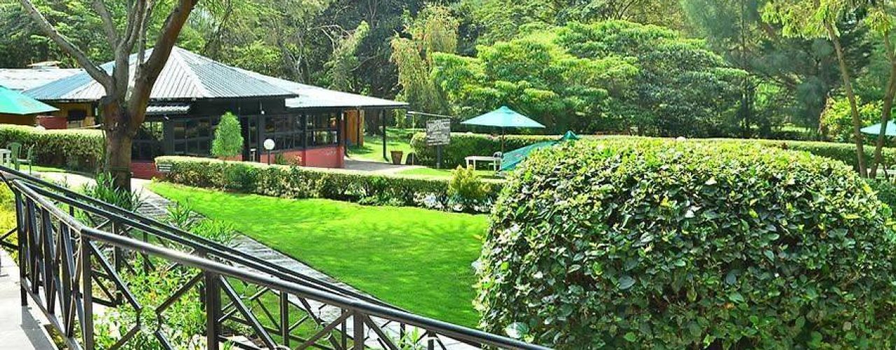 FISH EAGLE INN NAIVASHA (4)