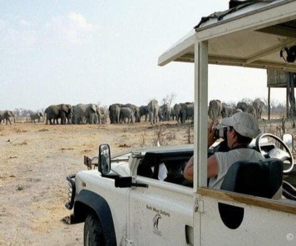 FISH-EAGLES-DEJA-SUR-SITE-4-qqo0kosv6r41ehfu7zol14lfkoa2ub3w2rjf0a9oqk