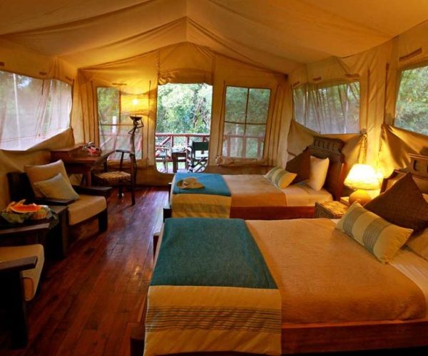 FLAMINGO-SAFARI-6-qqnzrwypzbq2078g8jxppdzgy23l7uvoscmc5cxj7g