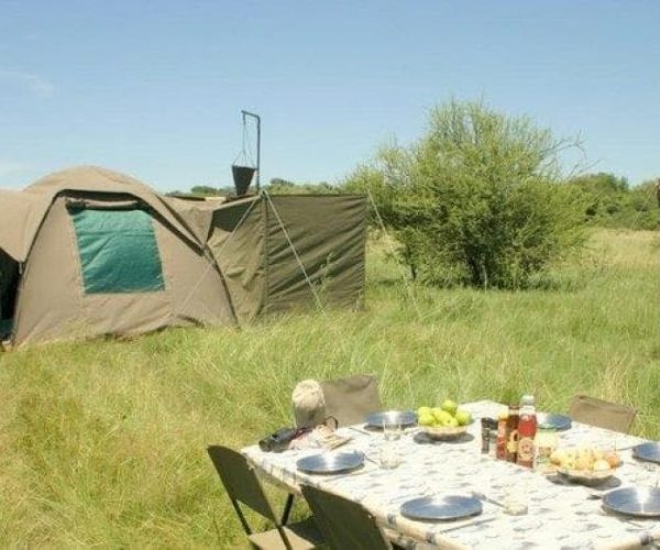 FULLY-SERVCED-SOUTHBOUND-DEJA-SUR-SITE-7-qqo0ksk7y396oxadm1b3b3n9y7rjp3itfa5cxe441o