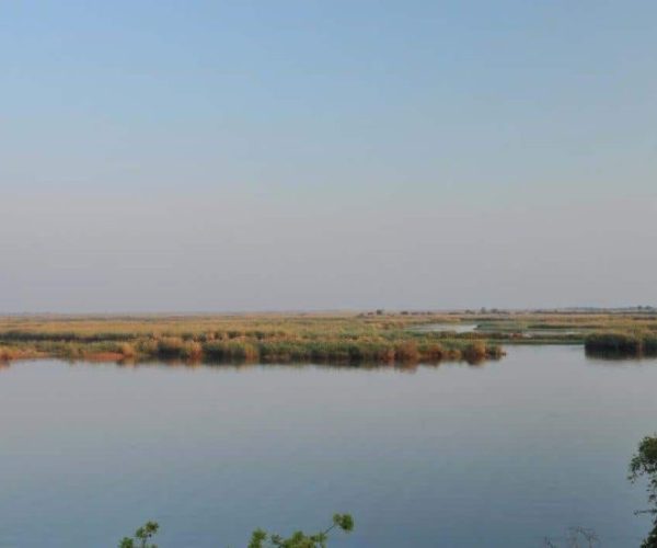 FULLY-SERVICED-NORTHBOUND-4-qqo0kwbkpfebzd4x02xll2p4br90jvxqrsrauhyjcs