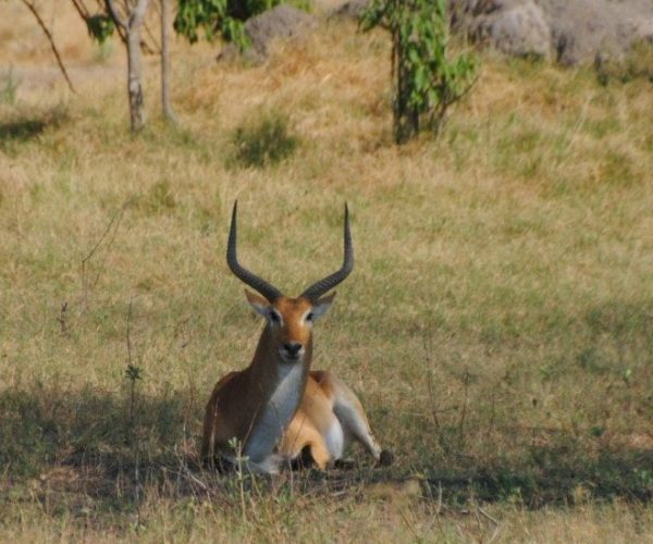 FULLY-SERVICED-NORTHBOUND-5-qqo0kx9ew9fmaz3julc85kgkx54drl1h3xesbrx56k