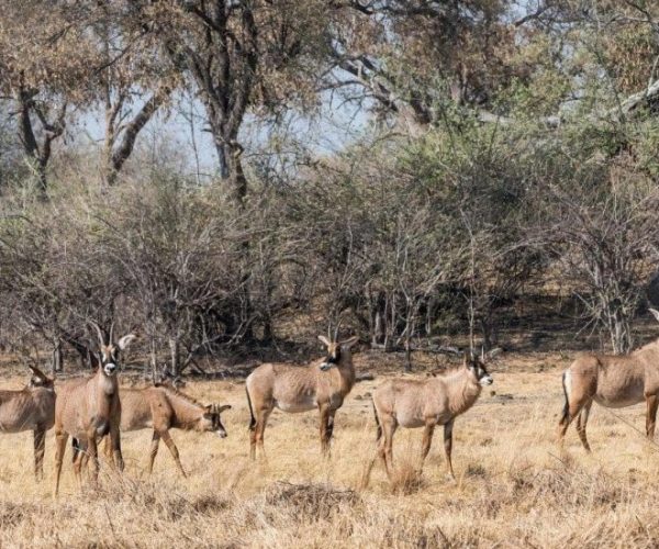 FULLY-SERVICED-SOUTHBOUND-1-qqo0l2wg19nc8mvcxnrzkj1chgcl1rnv4pbp7fos58