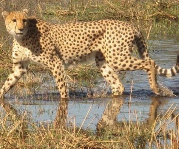 FULLY-SERVICED-SOUTHBOUND-2-qqo0l2wg19nc8mvcxnrzkj1chgcl1rnv4pbp7fos58