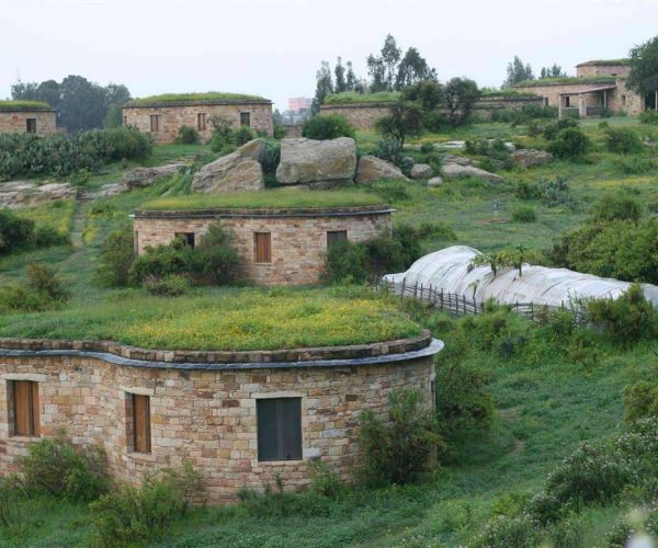 GHERALTA-LODGE-2-ETHIOPIE-SAFARI-AFRIQUE