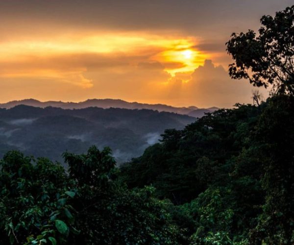 GORILLES-VIA-KIGALI-4-scaled-qqo0296t5pvlps7rv0tz4s206n4xvzxe7iym6xlmrg