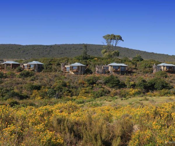 Garden-Route-Game-Lodge-2
