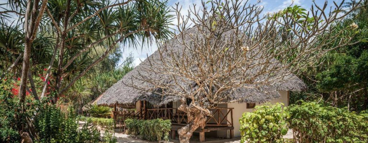 HAKUNA MAJIWE BEACH LODGE (1)