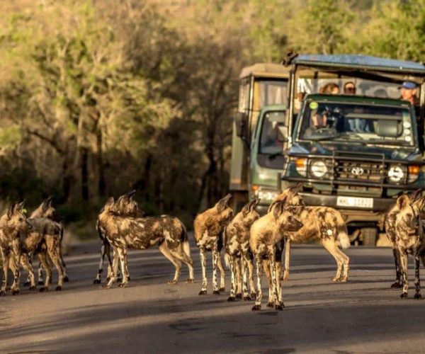 IMG_9168-Copy-qqo02kgvfqb1l3re15phyp7jb9lcgd6692sfy94wos