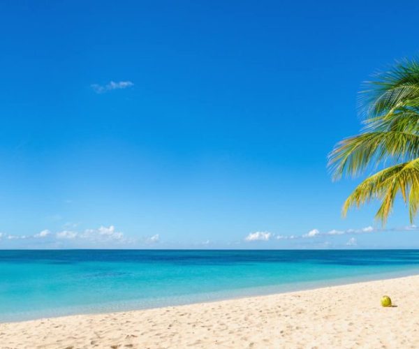 IMPALA-SAFARI-1-r9m6yryax67whztvzhddgjmtmjmfny415tbvexahdo