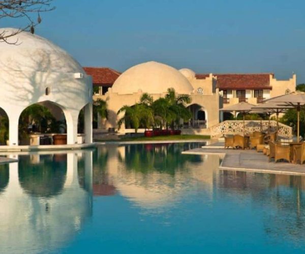 IMPALA-SAFARI-11-qqo0lmn20sed0g2oqeb5iw20yjnajeu87f0wa8viik