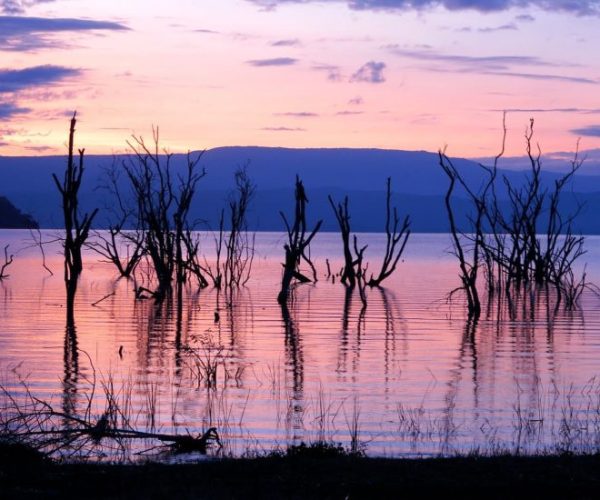 IMPALA-SAFARI-4-r9m6zy91gptt0g4g4hnl2qykcvtyabrybmoq0djrlo