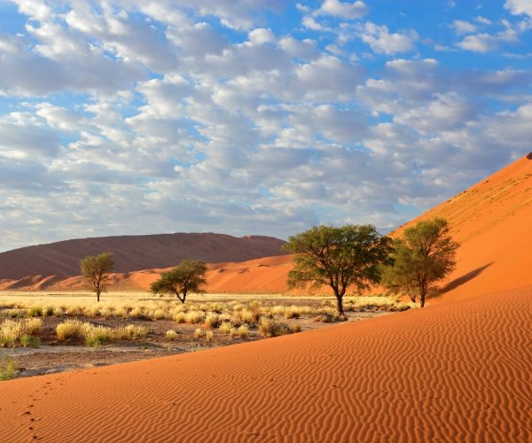 IMPRESSIONS NAMIBIE (3)