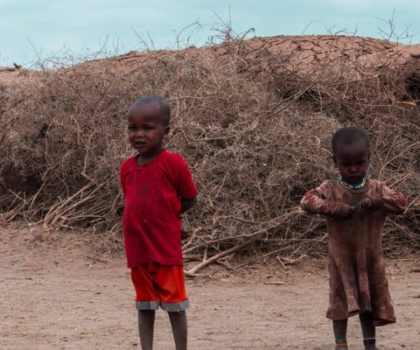 JUMBO-SAFARI-5-scaled-qqnzsdvtecd7t6jvhr8zy9prmzs72equuod2sc8g3g