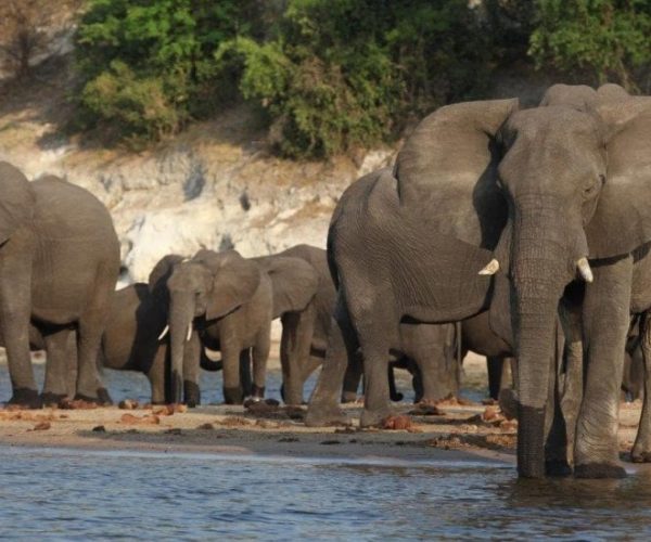 KALAHARI-4-qqo0lrc8yyksmhvuyycadcvbxh04lwcvw2abomojng