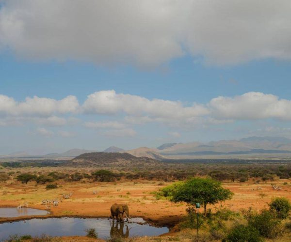 KILAGUNI-SERENA-LODGE-5