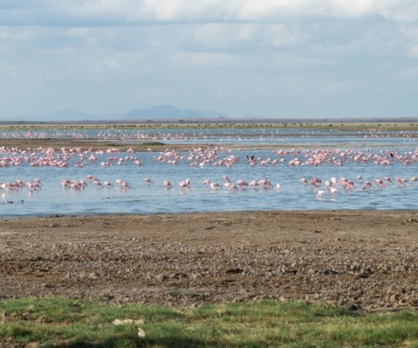 KILIMANJARO-BEACH-4-scaled-qqnzsna7aoq31a67yvb9n7cdkuhv7ds67yvxl3uid8