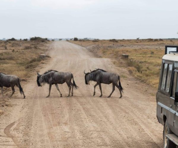 KILIMANJARO-BEACH-5-scaled-qqnzso81hirdcw4utdpw7p3u68d8f2vwk3jf2dt470