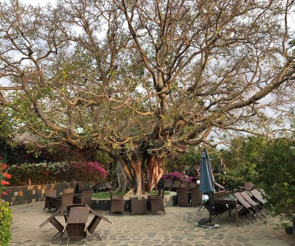 Kanta-Lodge-Ethiopie2