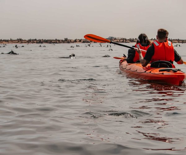 Kayak-Namibie-3