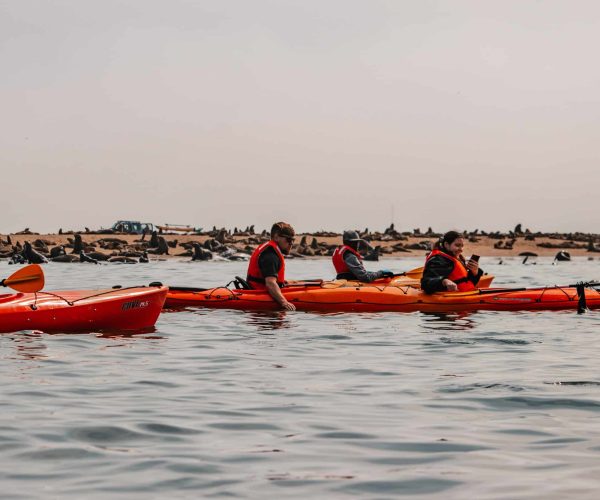 Kayak-Namibie-4
