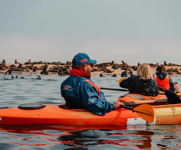 Kayak-Namibie-5
