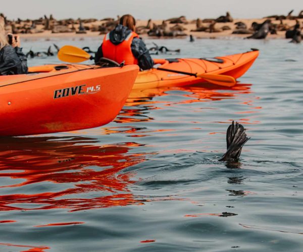 Kayak-Namibie-6
