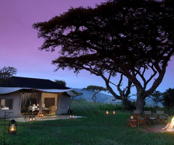 Kirurumu-Serengeti-Camp-3