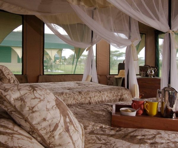Kirurumu-Serengeti-Camp-4