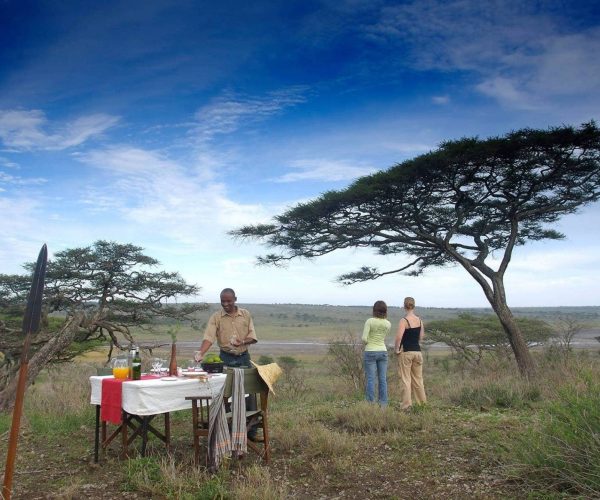 Kirurumu-Serengeti-Camp