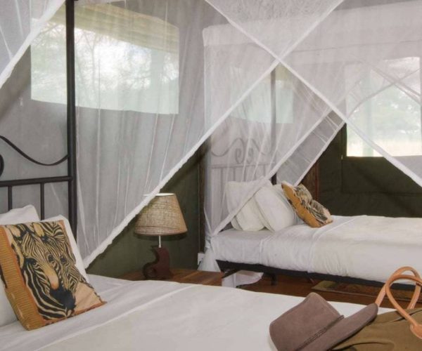 Kirurumu-Tarangire-Lodge-9