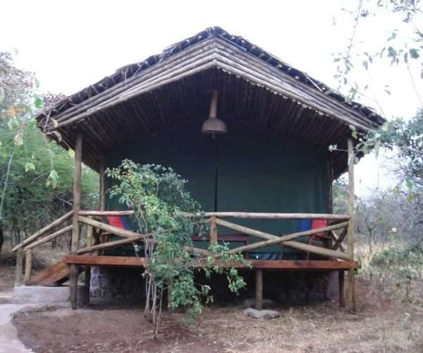 Kirurumu-lake-Manyara-4