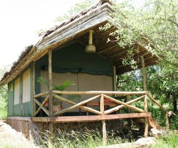 Kirurumu-lake-Manyara-5