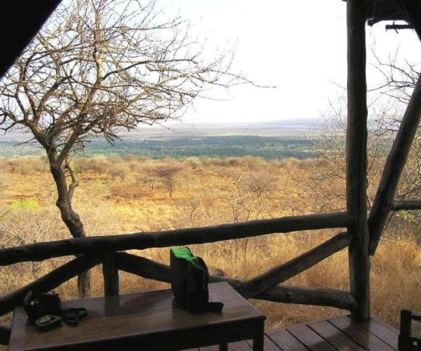 Kirurumu-lake-Manyara-7