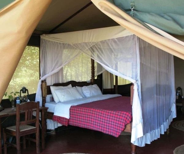 Kirurumu-lake-Manyara-8